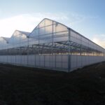 Energy-Efficient Greenhouse Growing Systems