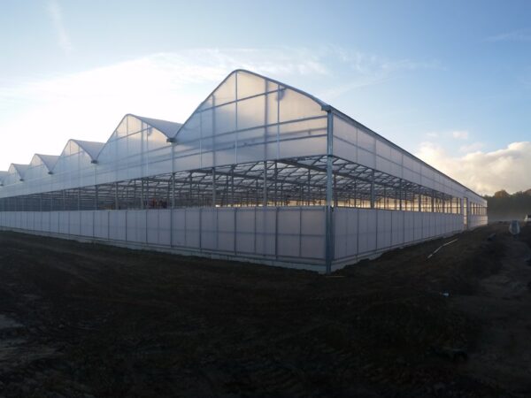 Energy-Efficient Greenhouse Growing Systems