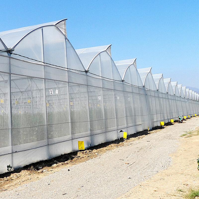 Sawtooth Greenhouse For Vegetables