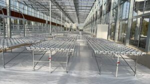 NFT hydroponic system