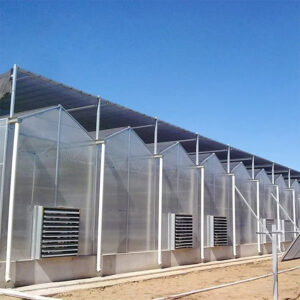 AURLANT Túnel de Invernadero de Lámina de PC de Fácil Montaje Galvanizado Pequeño/Gran Invernadero de Lámina para Granjas y Uso Vegetal Material PE