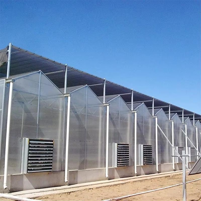 AURLANT Easy Assembly PC Sheet Greenhouse Tunnel Galvanized Small/Large Film Greenhouse for Farms and Plant Use PE Material