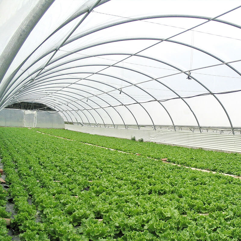 What is the difference between single span greenhouses and multi span greenhouses?
