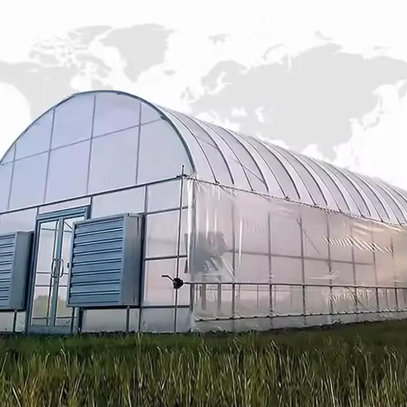 Greenhouse Design: Which Shape Is Most Efficient for Your Needs?