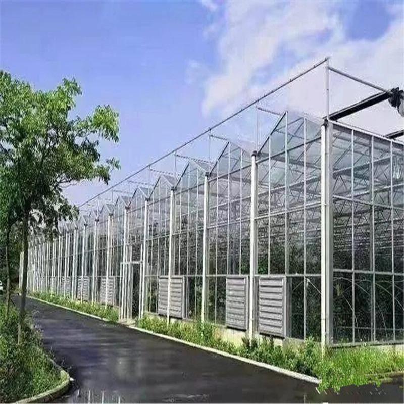 Multi-span commercial glass greenhouse