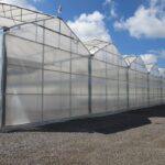 Plastic Film Greenhouse Growing Systems