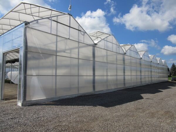 Plastic Film Greenhouse Growing Systems