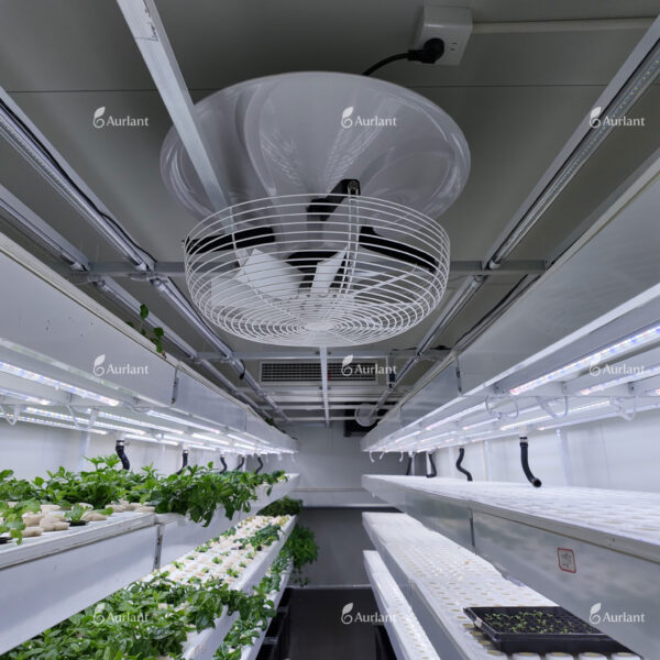 Éclairage par LED des conteneurs d'expédition hydroponiques