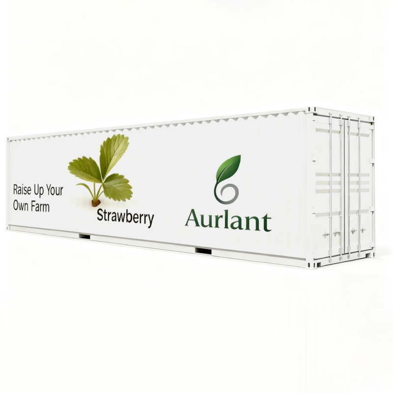 Strawberry Container Farm