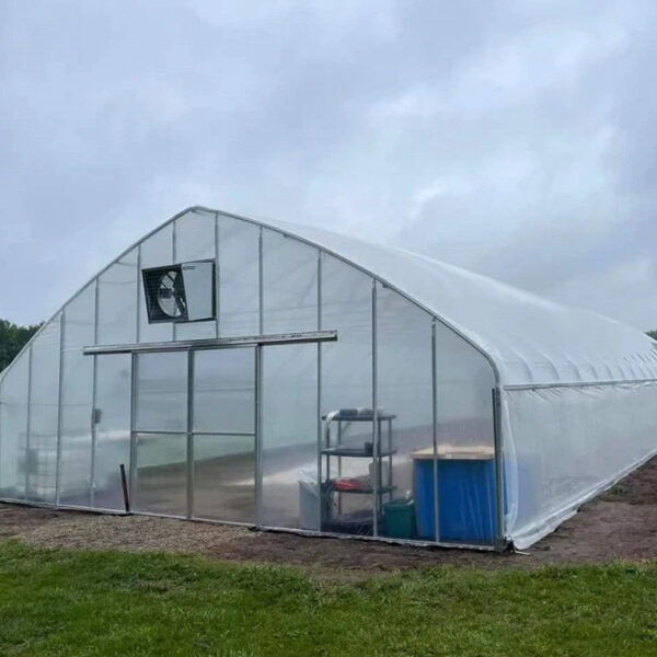 Single Span Film Tunnel Greenhouse
