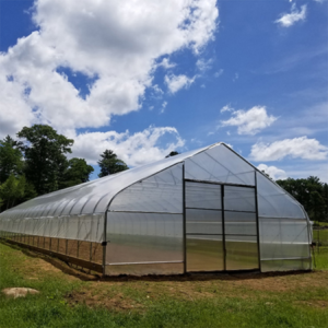 Cost-Effective Single Span Film Tunnel Greenhouse for Vegetable Farming