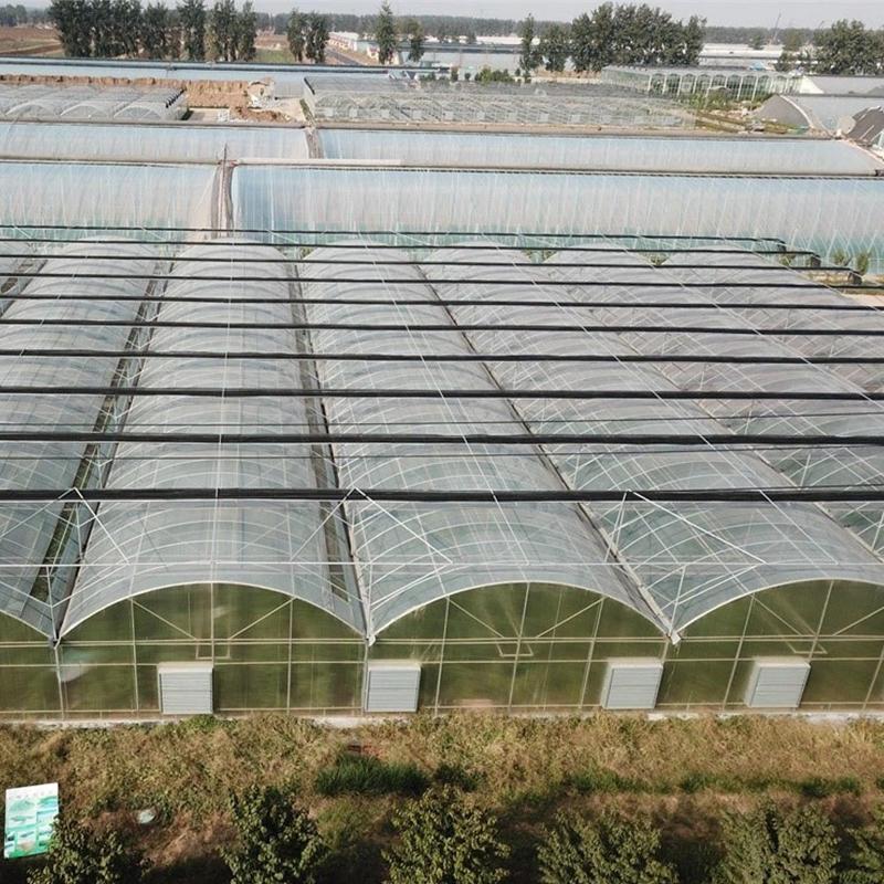 High-Quality Multi Span Film Tunnel Greenhouse