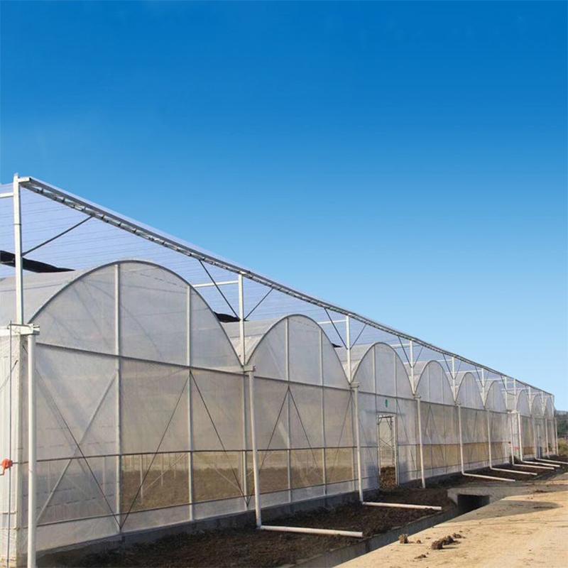 Multi Span Film Tunnel Greenhouse With Drip Irrigation