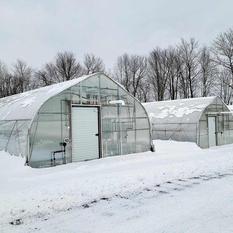 What on Earth is a Single Span Film Sawtooth Greenhouse?