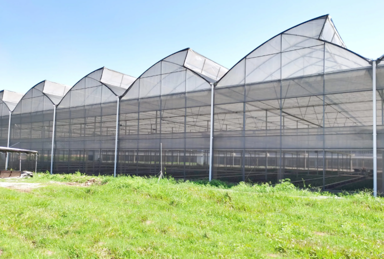 Sawtooth Greenhouse: The Hot Climate Solution That Pays for Itself