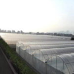 Economical multi span greenhouses
