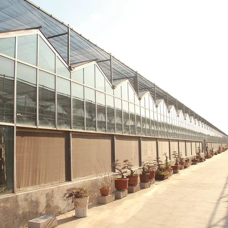 large glass greenhouse​