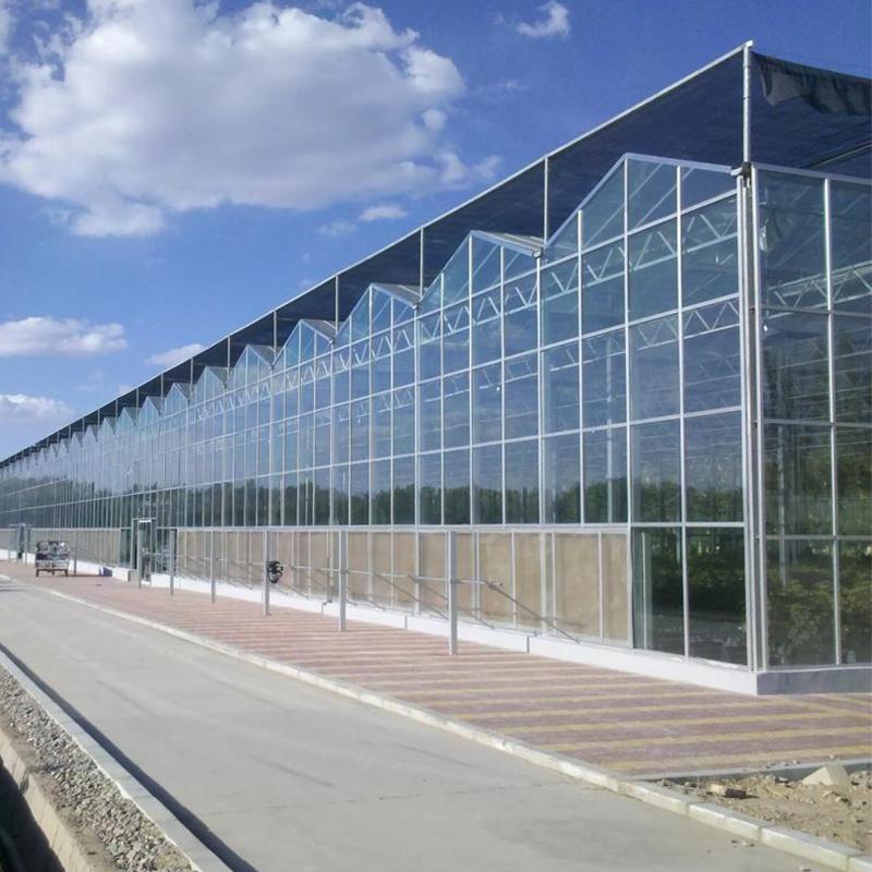 commercial glass greenhouse