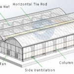 Agricultural Multi Span Greenhouse