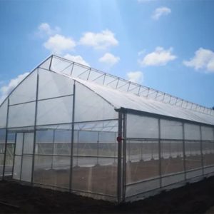 Single-span sawtooth greenhouse with ventilation system