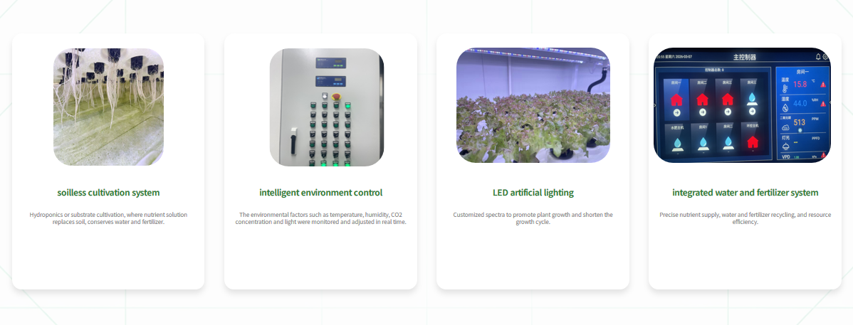 Контейнер для листовых овощей FarmCore Технология и компоненты системы