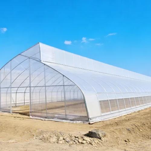 Agriculture Single Span Film Sawtooth Greenhouse with Side Ventilation