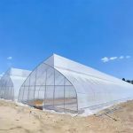 Invernadero a gran escala con estructura en forma de diente de sierra para el cultivo de plantas