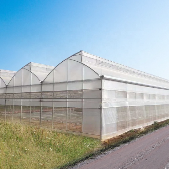 Advanced Agricultural Sawtooth Roof Smart Multi-Span Greenhouse