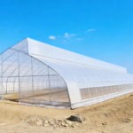 Single Span Film Sawtooth Greenhouse
