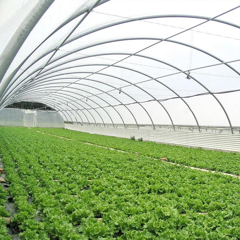 Durable Single Span Greenhouse