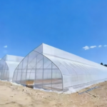 Agricultural Single Span Film Sawtooth Greenhouse