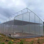 High Quality Single Span Film Sawtooth Greenhouse