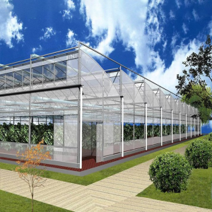 Multi-span film sawtooth greenhouse for vegetable growing