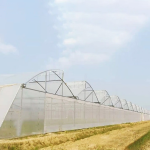 Agricultural Multi-Span Sawtooth Greenhouse
