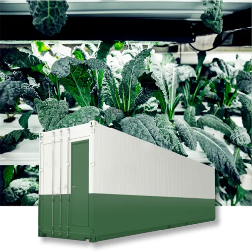 Is Container Farming Profitable? A Complete Container Farm Profitability Guide for 2026