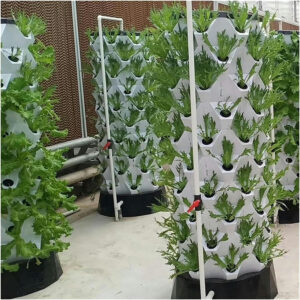 High quality Hydroponics Pineapple Tower