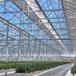 Glass Venlo Greenhouse for Vegetables