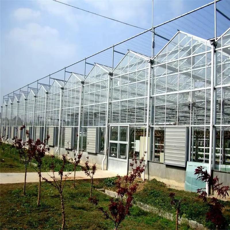 Glass Greenhouse vs Poly Greenhouse Which Is Right for Your Operation