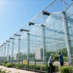 Corrosion-Resistant Glass Venlo Greenhouse