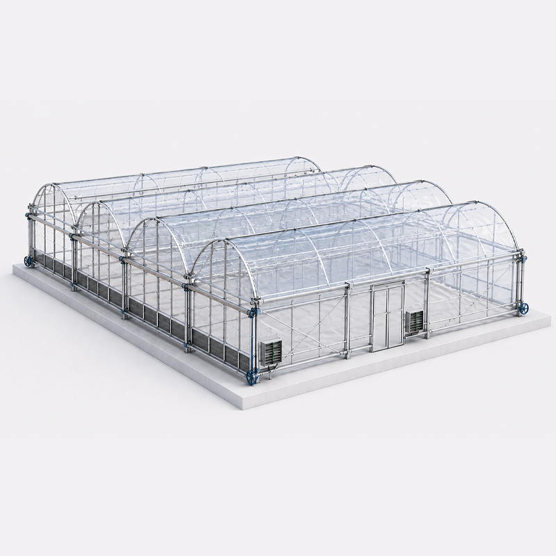 Standard Greenhouse Sizes Guide: How to Choose the Right Size for Your Growing Needs