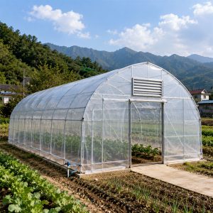 Single span film greenhouse for commercial vegetable production