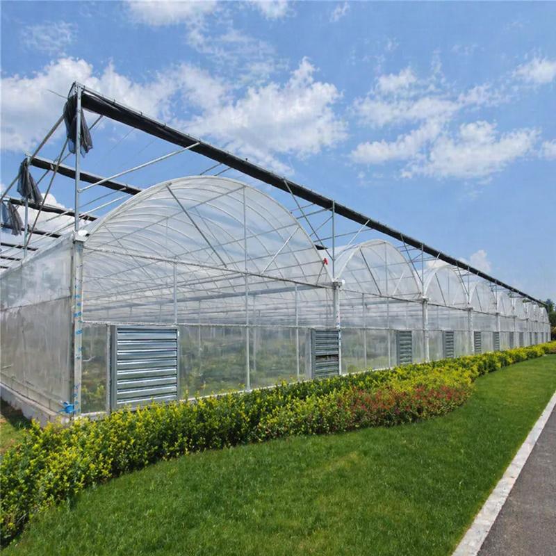 Standard Greenhouse Sizes vs Custom Greenhouse Sizes: Which Option Is Better for Your Project?