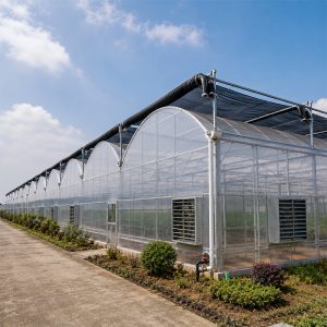 Commercial multi span greenhouse structure