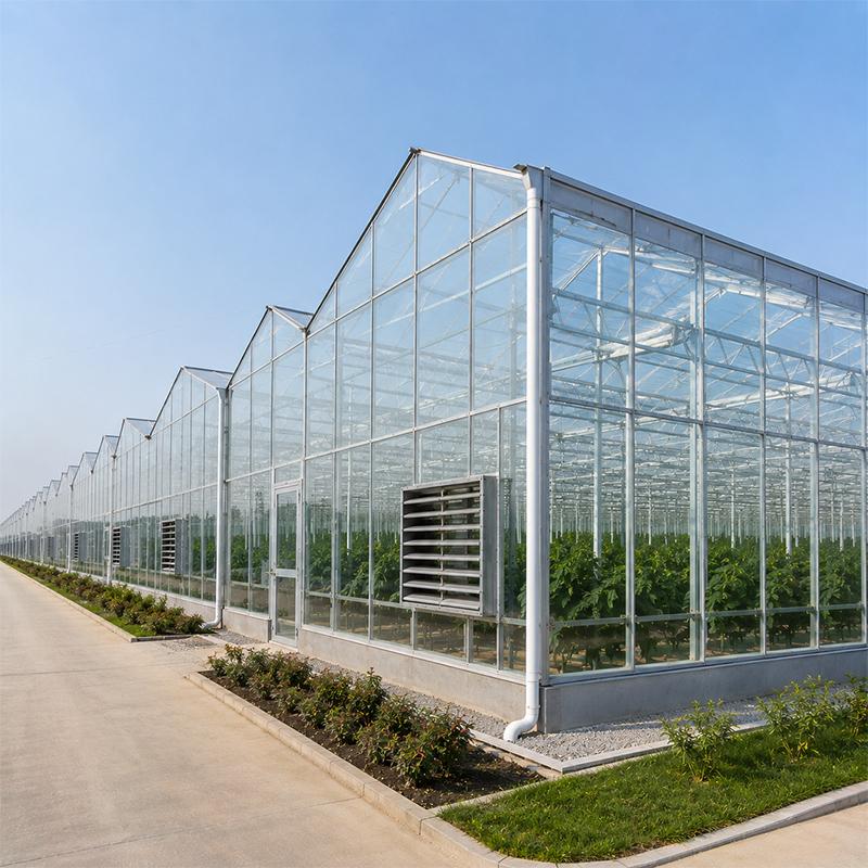 Industrial Greenhouse vs Traditional Greenhouse: Which Is Better for Growers?