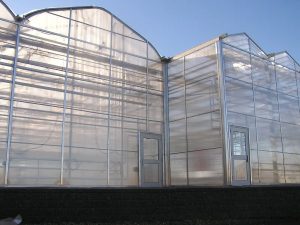 Poly Greenhouse