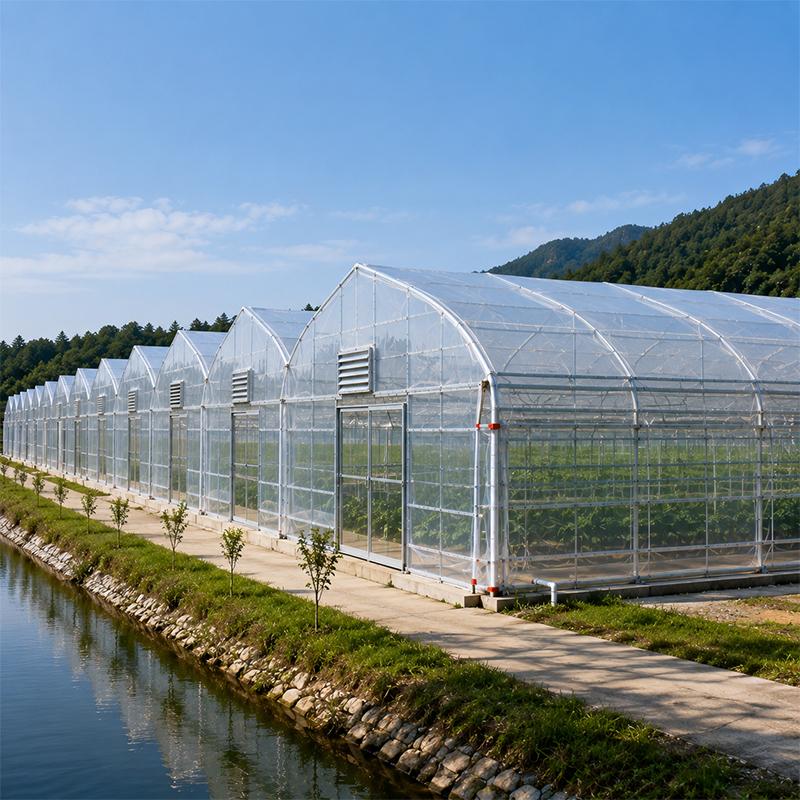 How to Plan an Industrial Greenhouse Project for Commercial Farming