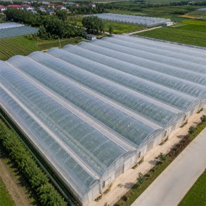 Large agricultural film greenhouse structure