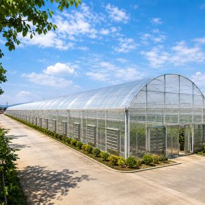 Commercial vegetable production greenhouse facility
