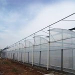 Multi span sawtooth greenhouse for commercial farming