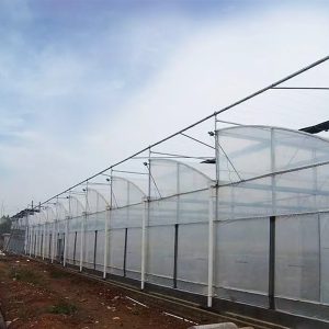 Multi span sawtooth greenhouse for commercial farming